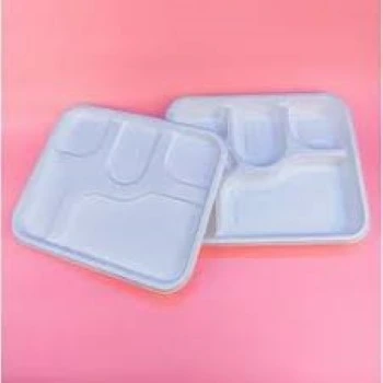 Biodegradable Tray