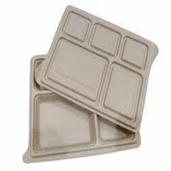 Biodegradable Tray