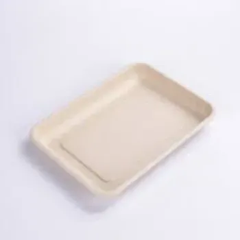 Biodegradable Tray