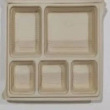Leakage Proof Biodegradable Tray