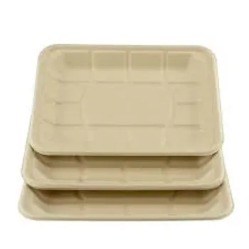 Biodegradable Tray