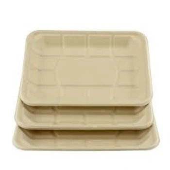 Biodegradable Tray