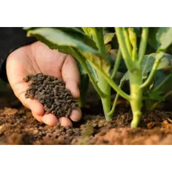 Natural Bio Fertilizer