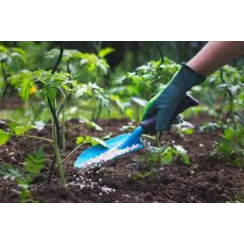 Organic Bio Fertilizer