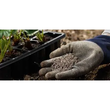 Bio Fertilizers
