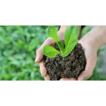 Organic Bio Fertilizers