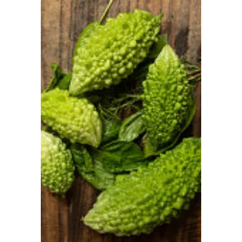 Organic Bitter Gourd