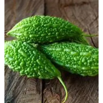 Bitter Gourd