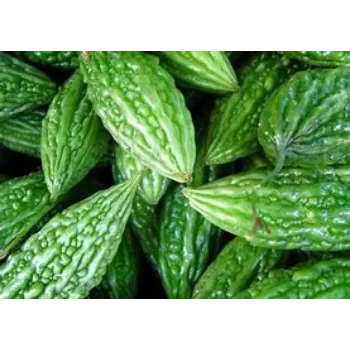 Natural Bitter Gourd
