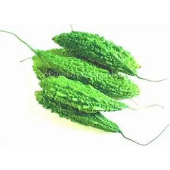 Bitter Gourd