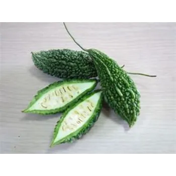Bitter Gourd