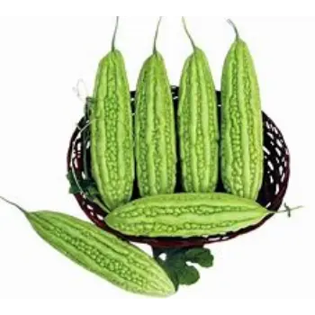 Bitter Gourd