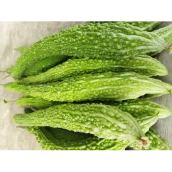 Natural  Bitter Gourd