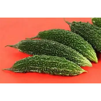 Bitter Gourd