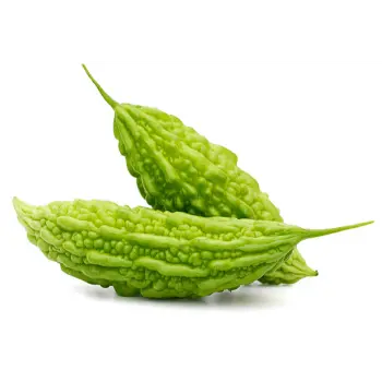 Common Bitter Gourd
