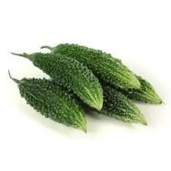 Natural Bitter Gourd