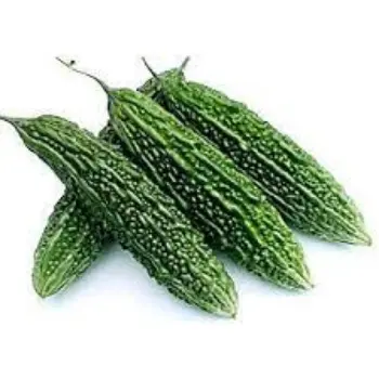 Natural Bitter Gourd