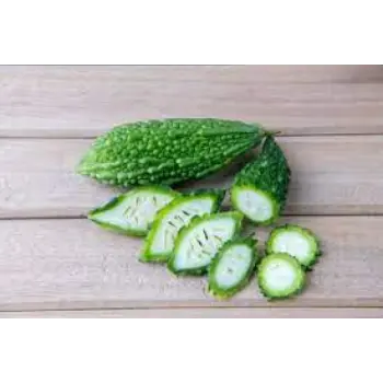 Common Bitter Gourd