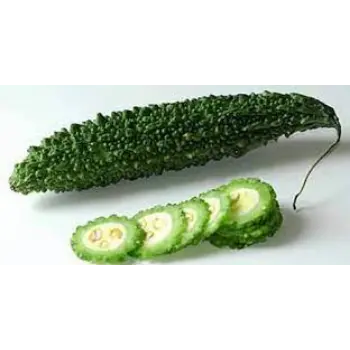 Natural Bitter Gourd