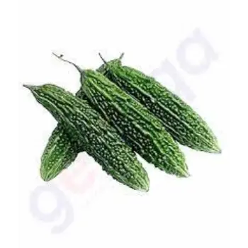 Common Bitter Gourd