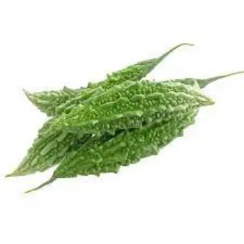 Common Bitter Gourd