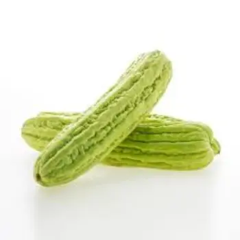Natural Bitter Gourd
