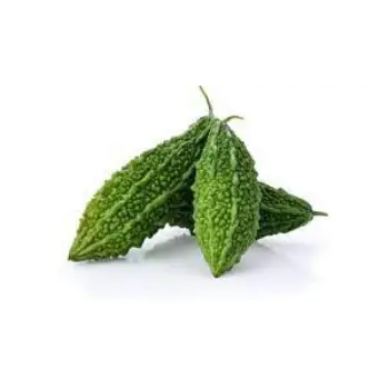 Common Bitter Gourd