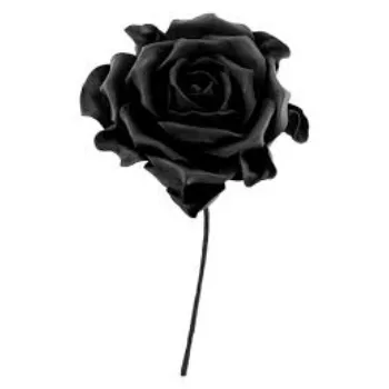 Natural Black Rose