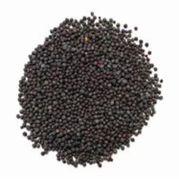 Natural Black Mustard Seeds