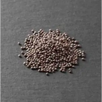 common Black Mustard Seeds