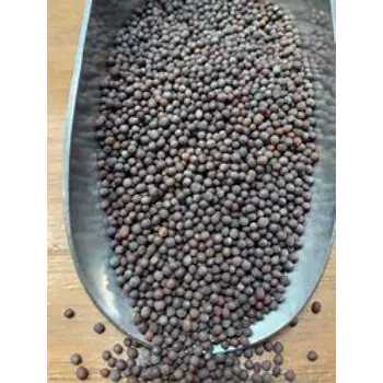 Black Mustard Seeds