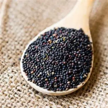 Black Mustard Seeds