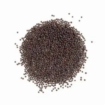 Black Mustard Seeds