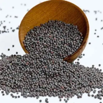 Fresh Black Mustard Seeds