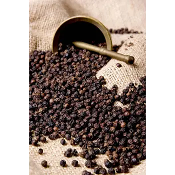 Common  Black Pepper