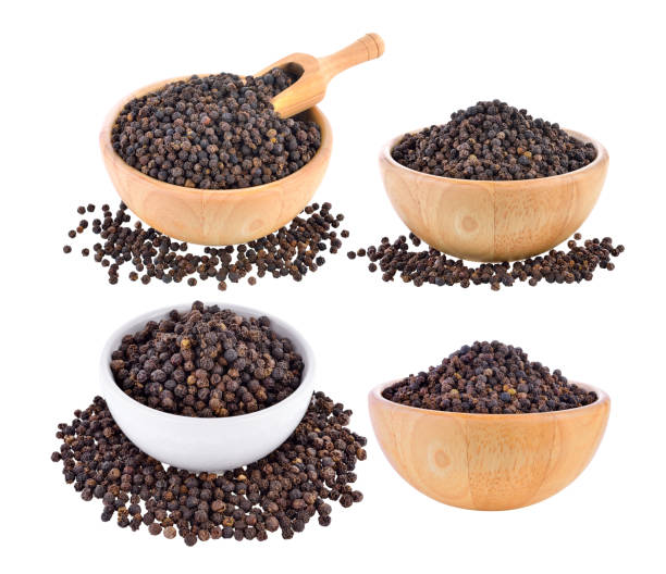 Common  Black Pepper