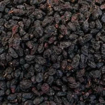 Natural Black Raisins