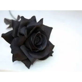 RAJESWARI NURSERY Black Rose