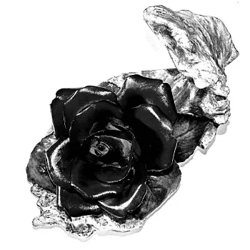 Natural Black Rose