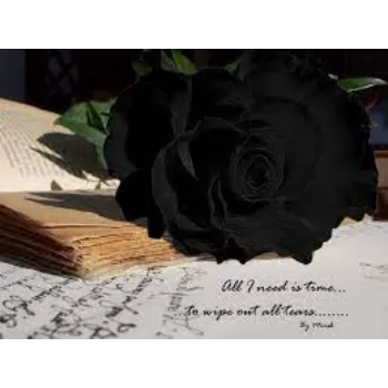 Organic Black Rose