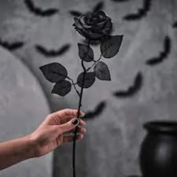 Natural Black Rose