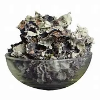 Black Stone Flower