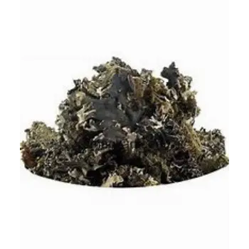 Natural Black Stone Flower