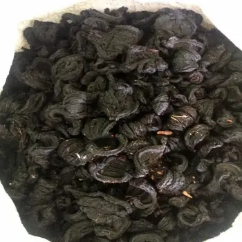 Common Black Tamarind
