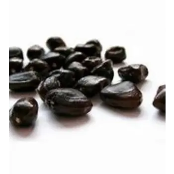 Black Tamarind
