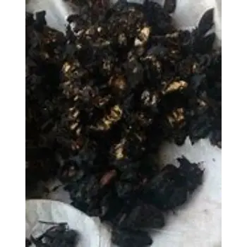 Common Black Tamarind