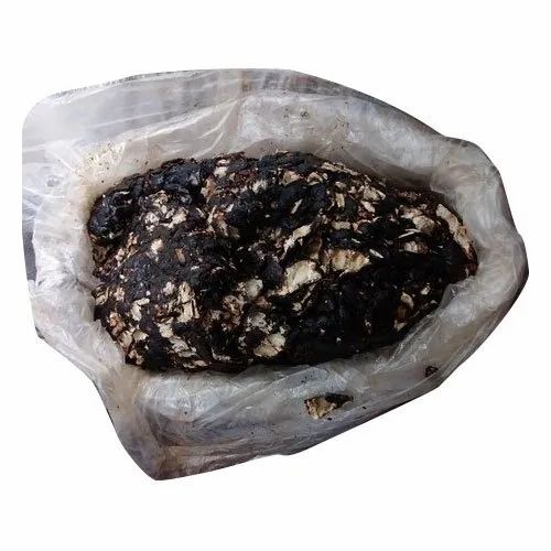  Common Black Tamarind