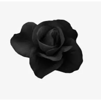 Fresh Black Rose Flowers