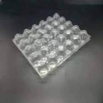 Blister Tray