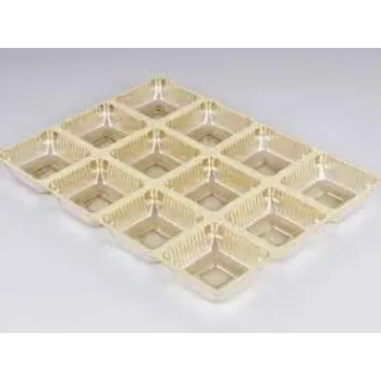 Blister Tray